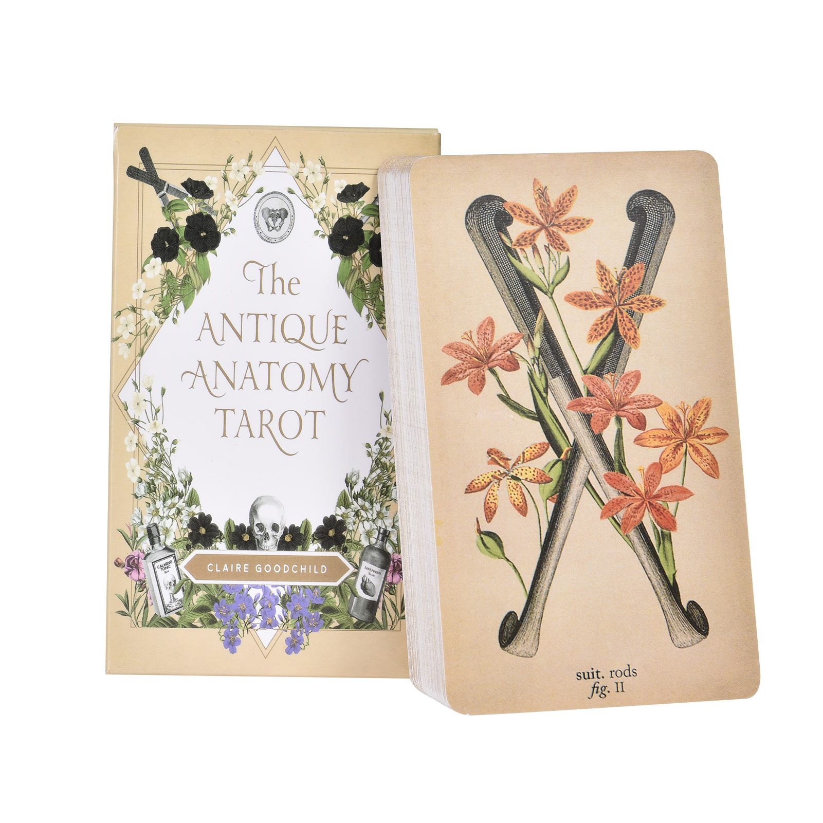 Antyczne karty tarota anatomii – Board Game Oracle recenzja i cena